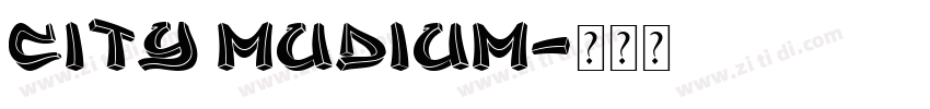 city mudium字体转换